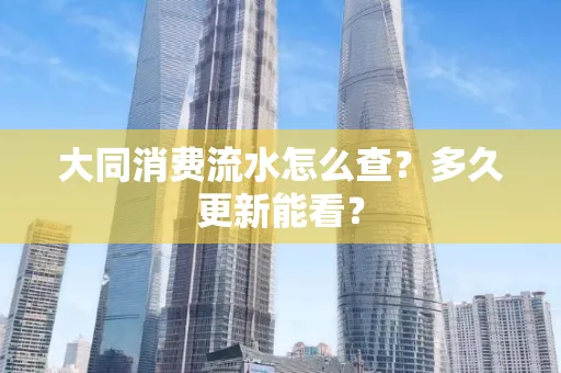 大同消费流水怎么查？多久更新能看？