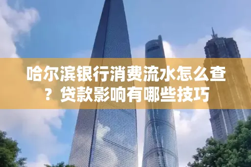 哈尔滨银行消费流水怎么查？贷款影响有哪些技巧