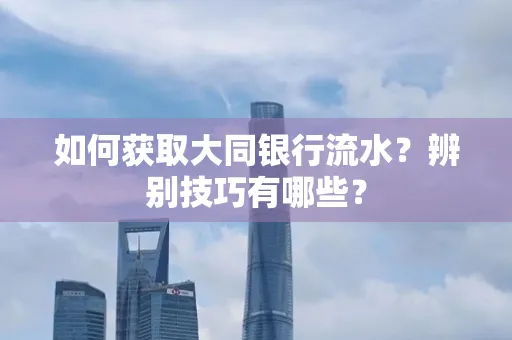 如何获取大同银行流水？辨别技巧有哪些？